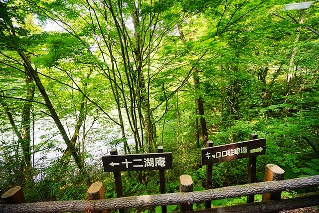 20251102-dryod 20251102-dryod