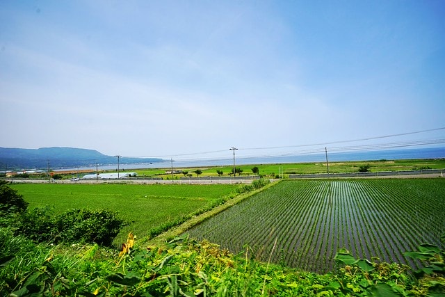 20251102-dvsy7 20251102-dvsy7