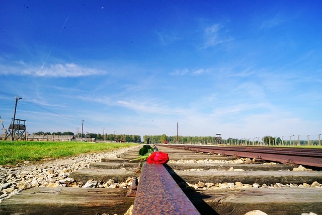 20251102-dwblx 20251102-dwblx