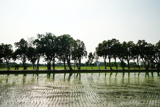 20251102-ettiv 20251102-ettiv