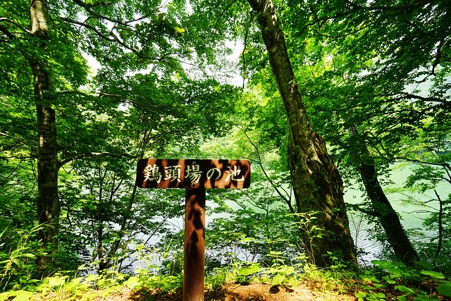 20251102-ffofc 20251102-ffofc