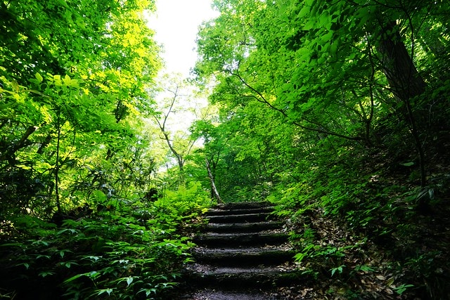 20251102-fzyld 20251102-fzyld