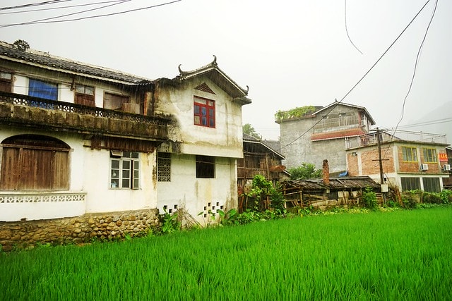 20251102-g1fey 20251102-g1fey