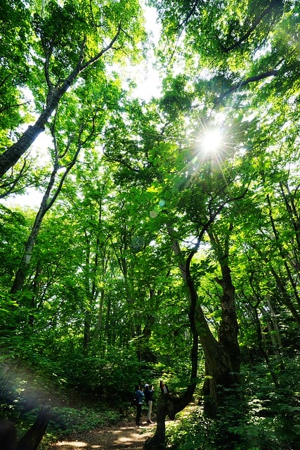 20251102-hfsat 20251102-hfsat