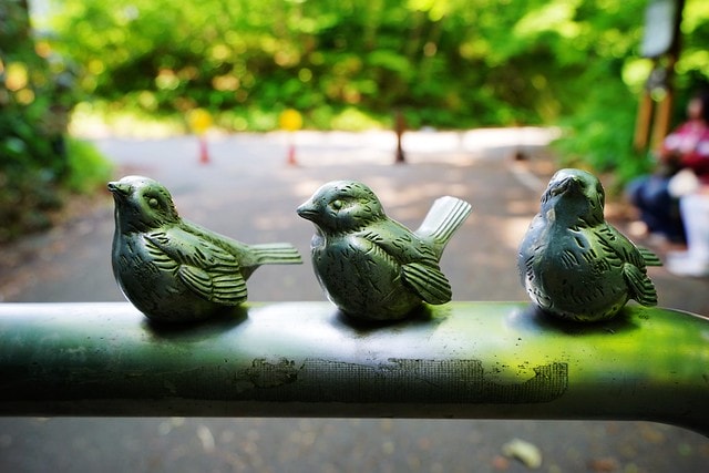 20251102-hfu8h 20251102-hfu8h