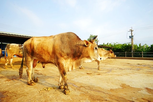 20251102-hmaxh 20251102-hmaxh