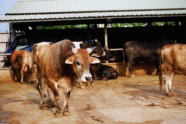 20251102-hp668 20251102-hp668