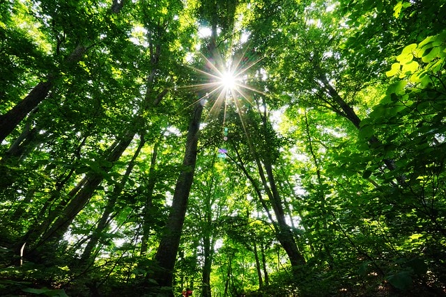 20251102-hs7hb 20251102-hs7hb