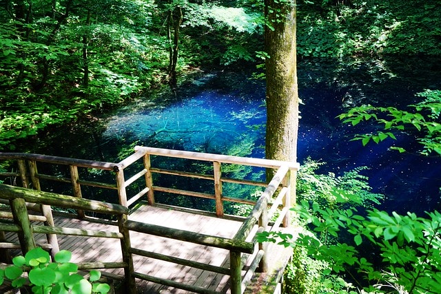 20251102-ibp2q 20251102-ibp2q