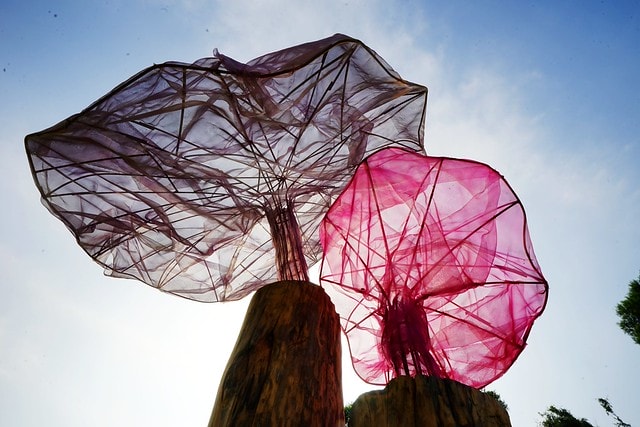 20251102-iqdax 20251102-iqdax