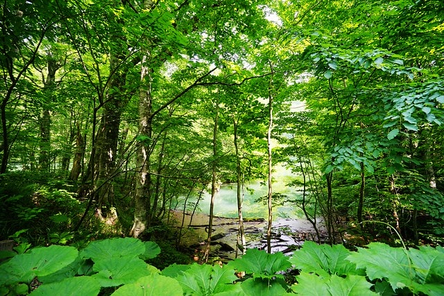 20251102-jpj7p 20251102-jpj7p