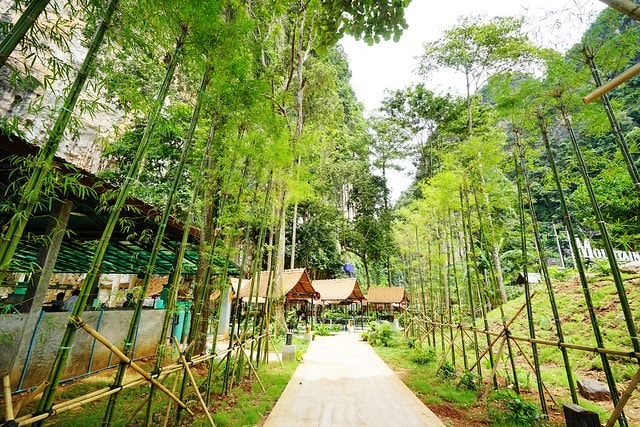 20251102-jpwnb 20251102-jpwnb