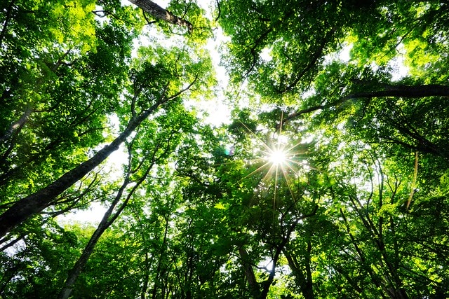 20251102-kpnow 20251102-kpnow