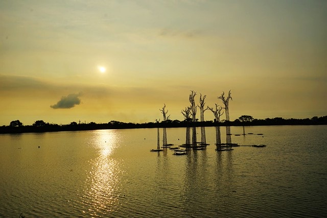 20251102-krzvb 20251102-krzvb