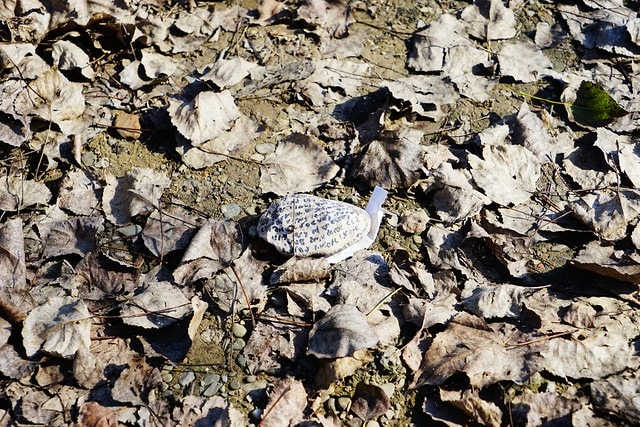 20251102-l5ugp 20251102-l5ugp