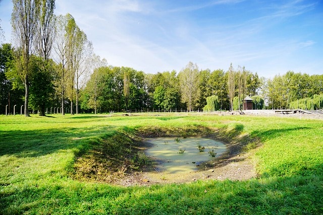 20251102-l7occ 20251102-l7occ