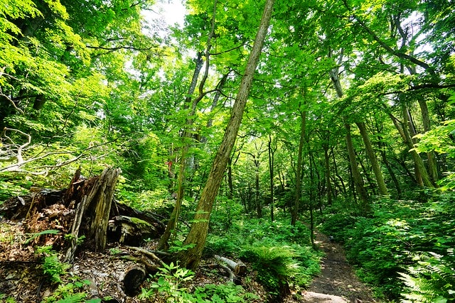 20251102-lr6xj 20251102-lr6xj