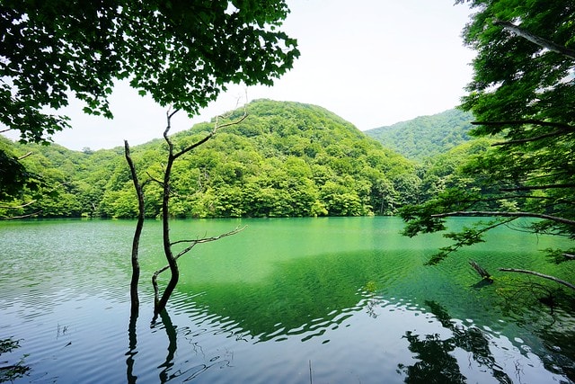 20251102-n4pao 20251102-n4pao