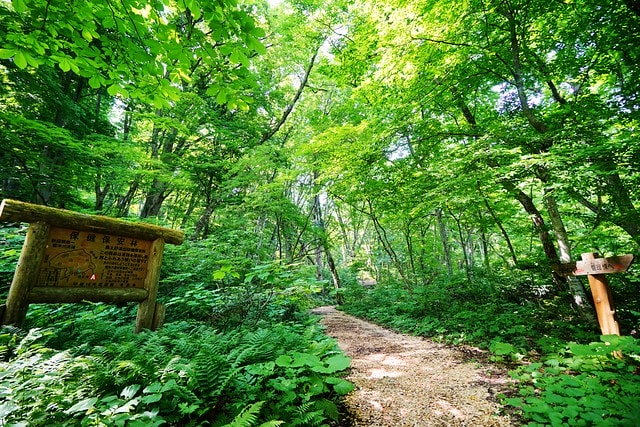 20251102-n7mok 20251102-n7mok