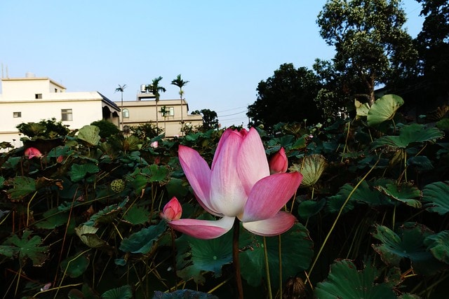 20251102-nngbm 20251102-nngbm