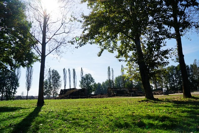 20251102-np0ch 20251102-np0ch