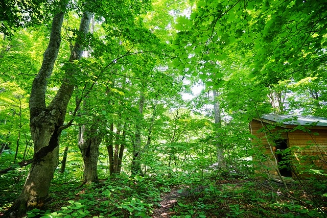 20251102-nplod 20251102-nplod