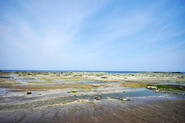 20251102-o88zj 20251102-o88zj