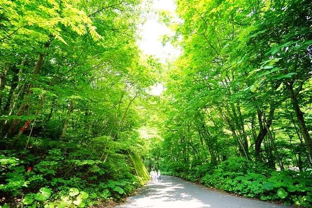 20251102-ocmeu 20251102-ocmeu