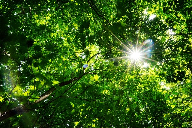 20251102-p1jow 20251102-p1jow