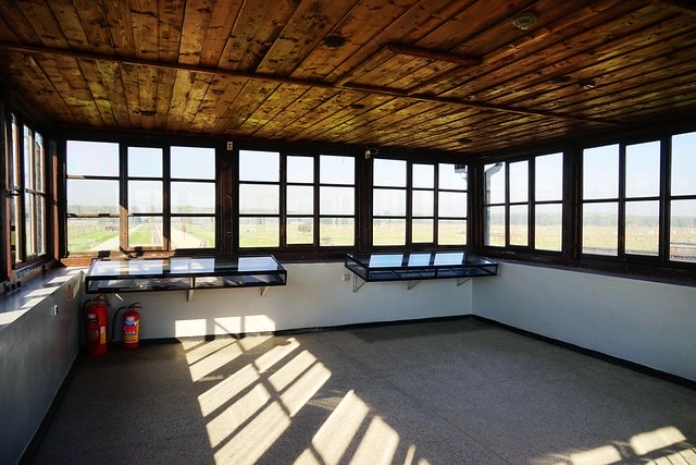 20251102-p4vmx 20251102-p4vmx