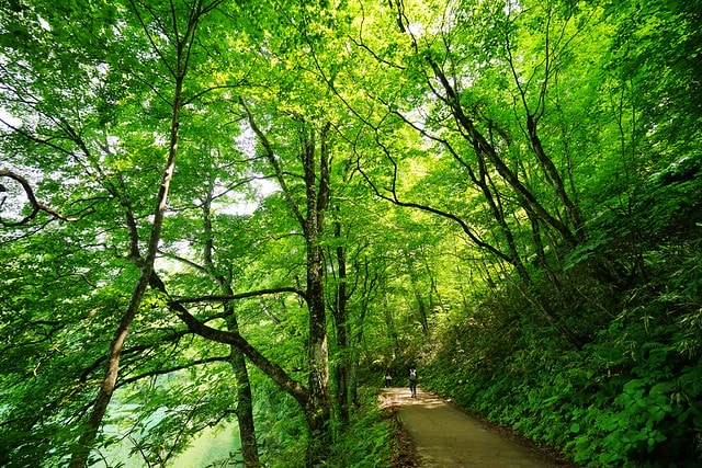 20251102-pfkfd 20251102-pfkfd