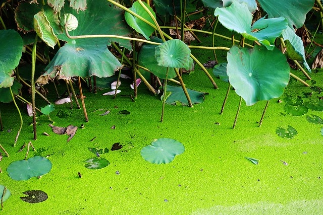 20251102-po40t 20251102-po40t