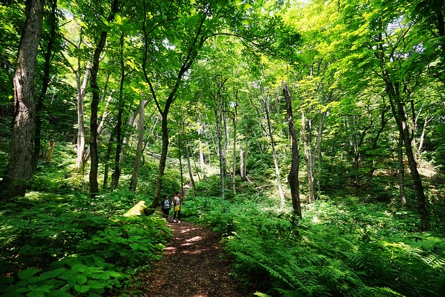 20251102-r5v6a 20251102-r5v6a