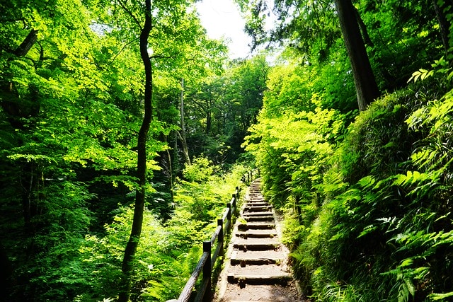 20251102-rk6l8 20251102-rk6l8