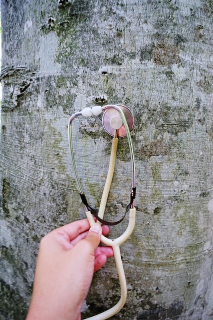 20251102-s1063 20251102-s1063