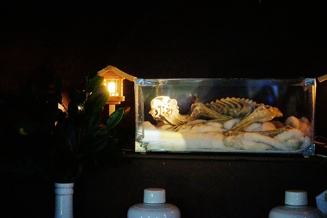 20251102-sgrtv 20251102-sgrtv