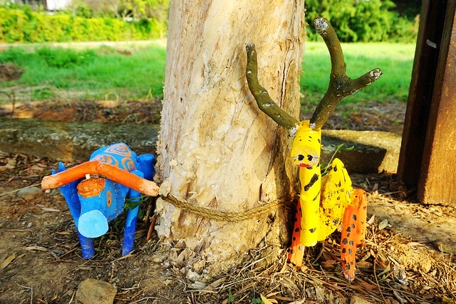 20251102-sscsc 20251102-sscsc