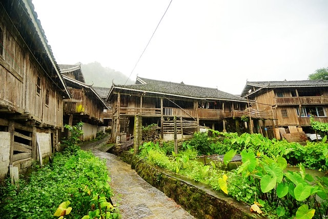 20251102-tgdue 20251102-tgdue