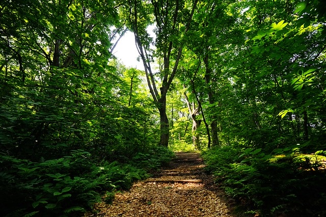 20251102-u3lmm 20251102-u3lmm