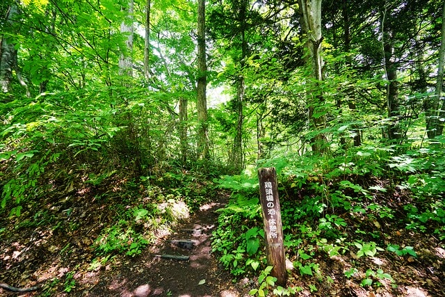 20251102-u9k1i 20251102-u9k1i