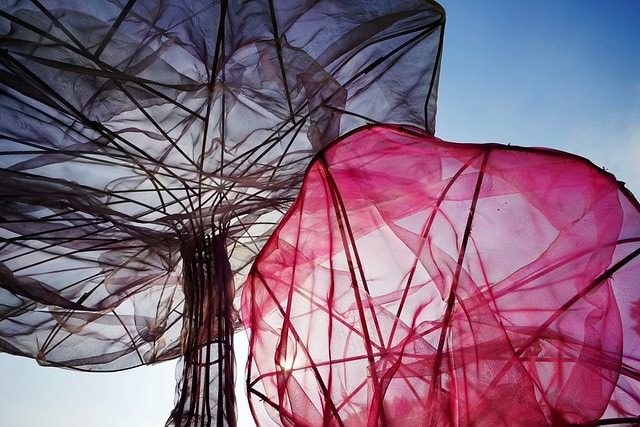 20251102-ujduk 20251102-ujduk