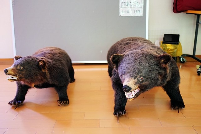 20251102-unv4h 20251102-unv4h