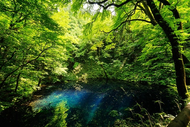 20251102-uty7q 20251102-uty7q