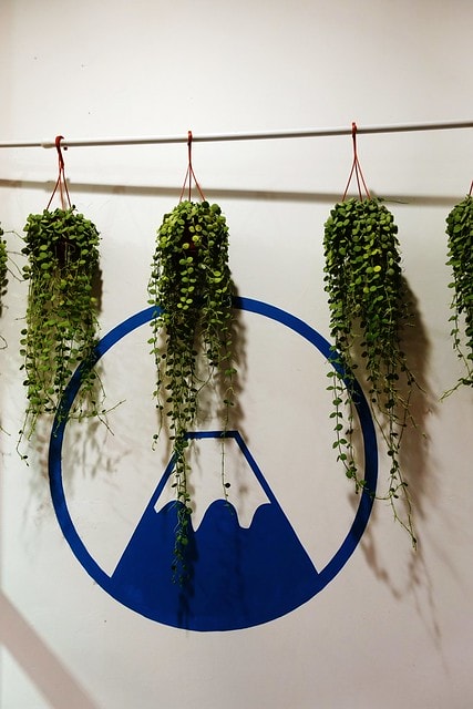 20251102-w0c1z 20251102-w0c1z