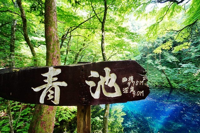 20251102-wi6p4 20251102-wi6p4