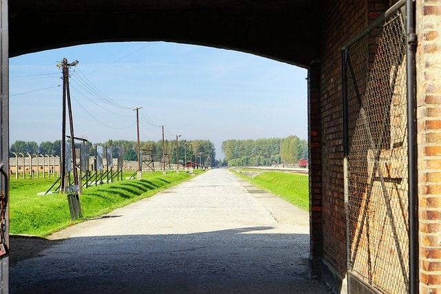 20251102-wp8fs 20251102-wp8fs