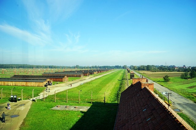 20251102-wsy3d 20251102-wsy3d