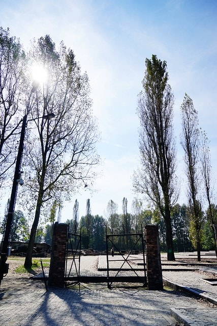 20251102-x8m91 20251102-x8m91