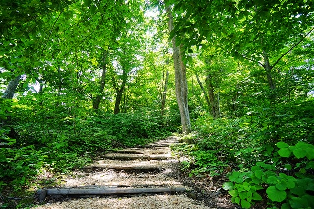 20251102-xymdo 20251102-xymdo