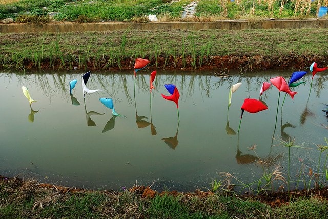 20251102-y6ysl 20251102-y6ysl